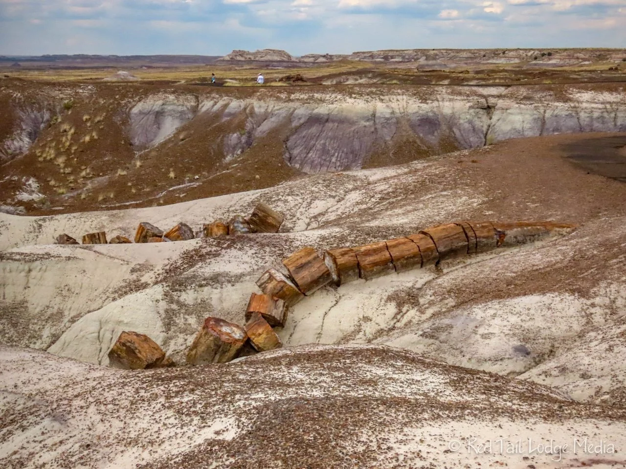 Petrified Forest National Park, Arizona - September 10, 2023